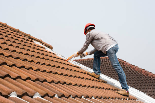 Best Roof Maintenance and Cleaning  in Southwood Acres, CT